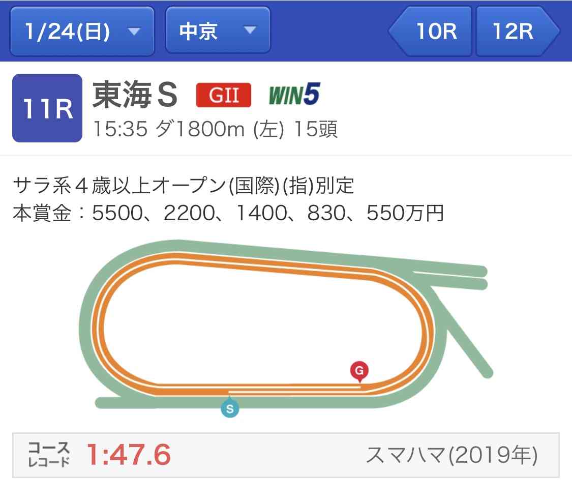 有馬記念2020