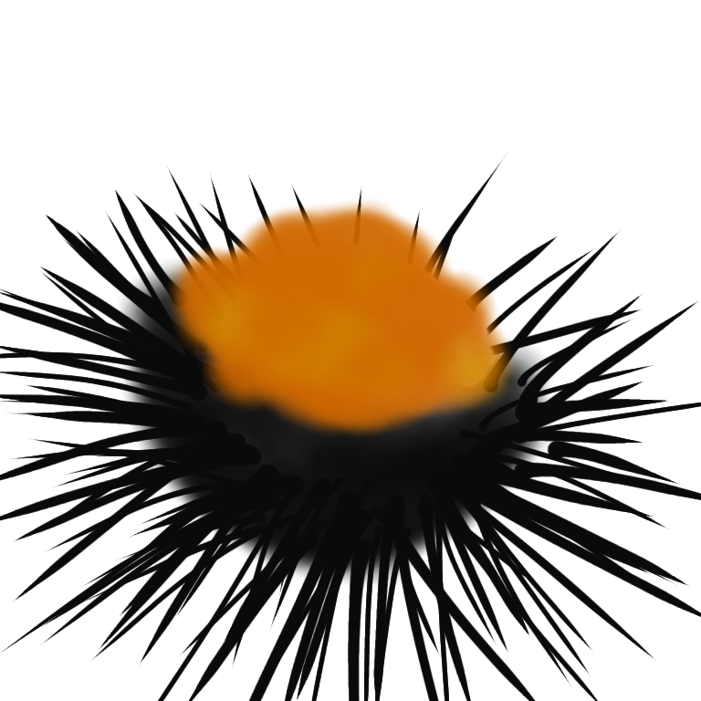 お絵描きしりとり