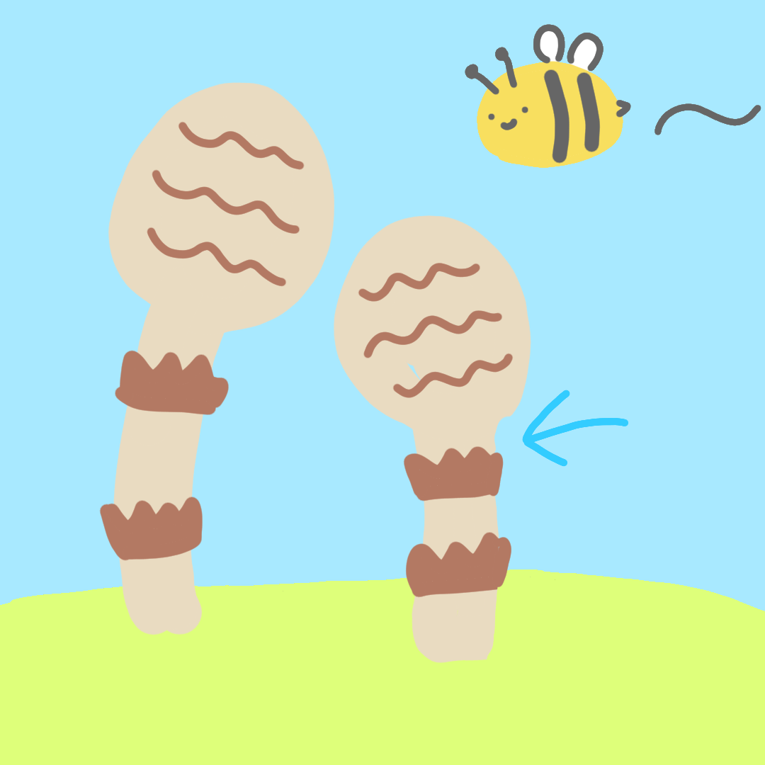 お絵描きしりとり
