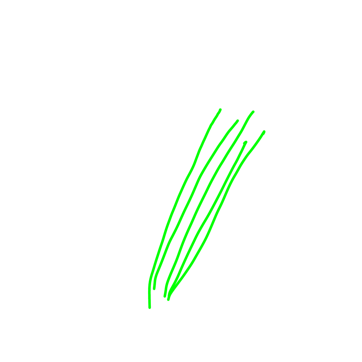 お絵描きしりとり