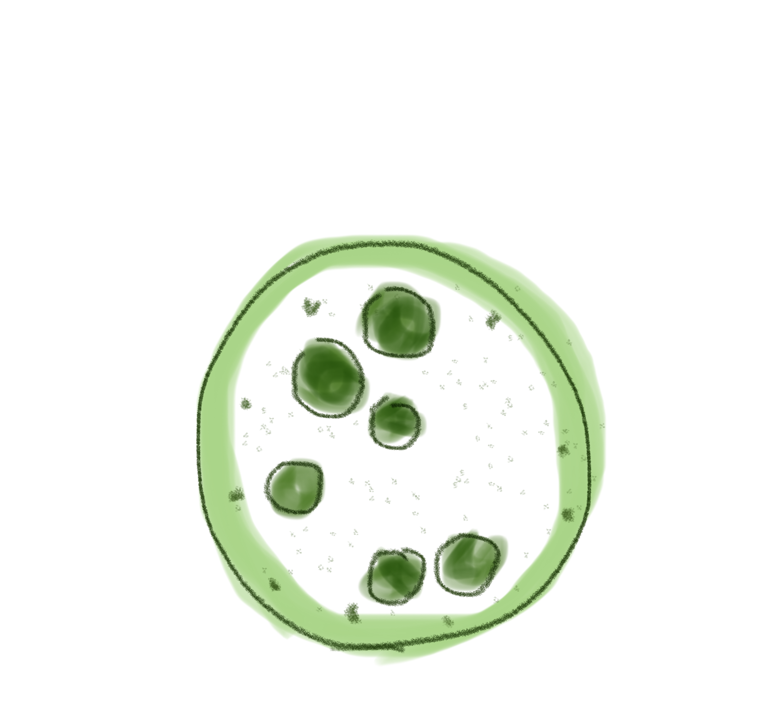 お絵描きしりとり