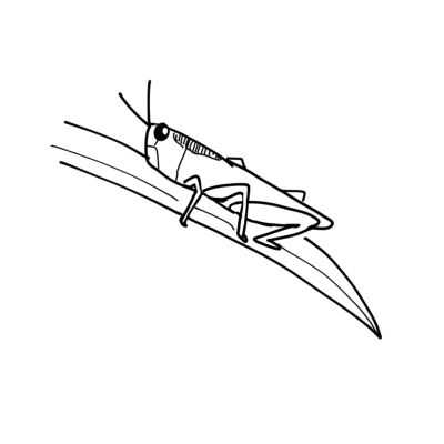 お絵描きしりとり