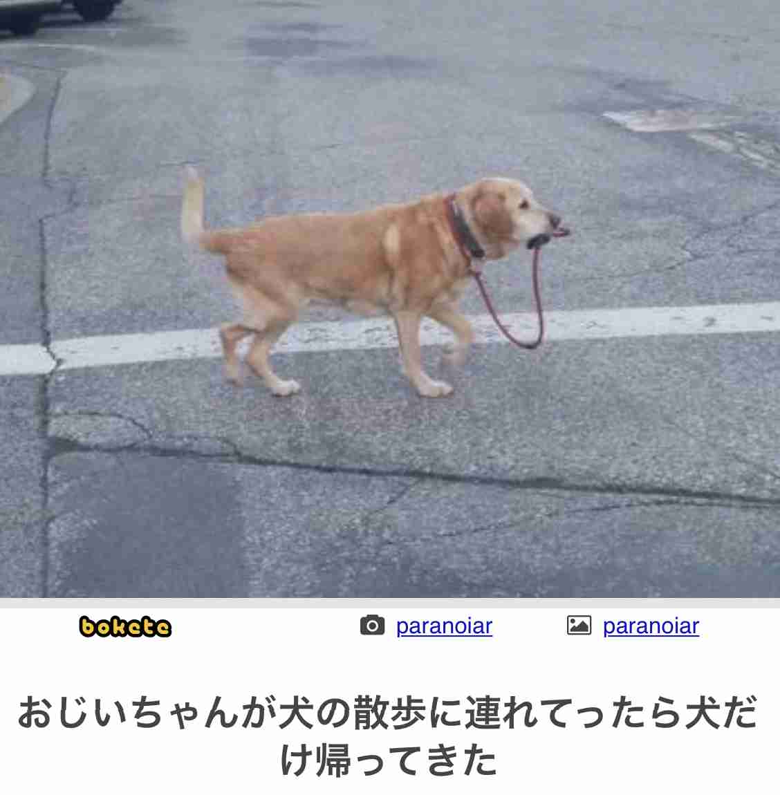 皆さんのおじいちゃん、おばあちゃんの可愛いエピソード