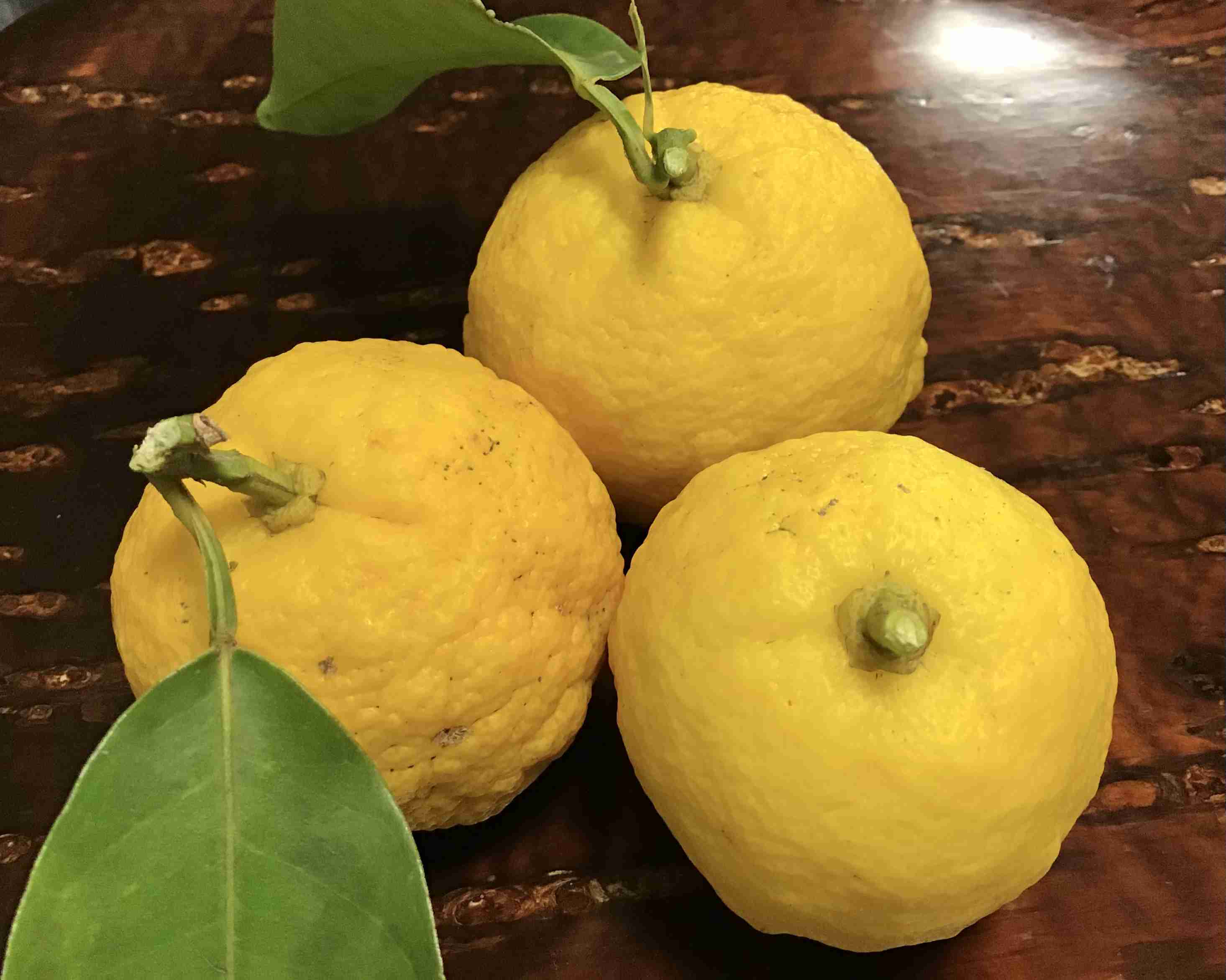 賀正。お正月に朝からお酒を飲んでいる人