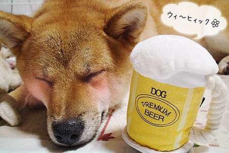 賀正。お正月に朝からお酒を飲んでいる人