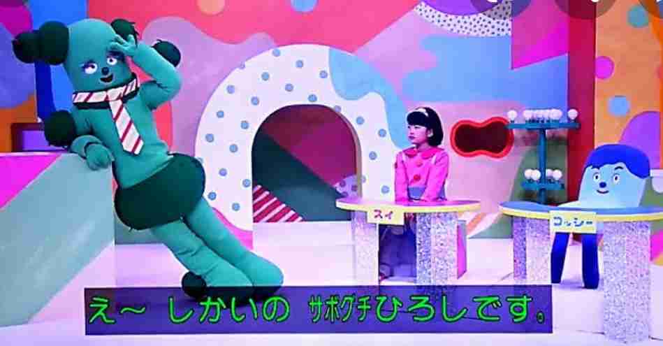 テレビで私に似てる!って思った芸能人