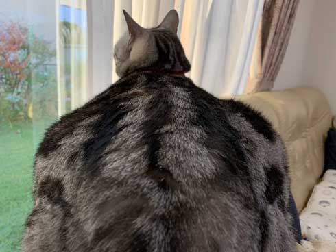 少しだけ不安になる画像ください!