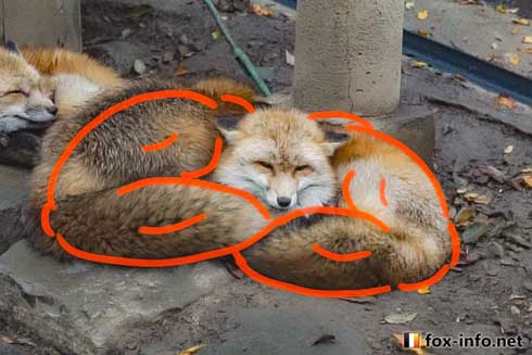 少しだけ不安になる画像ください!