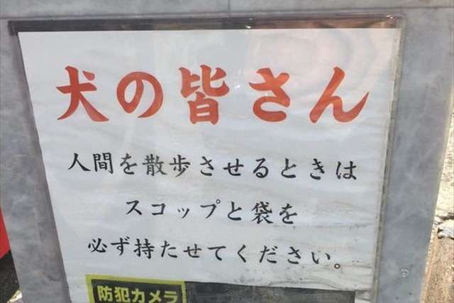 少しだけ不安になる画像ください!