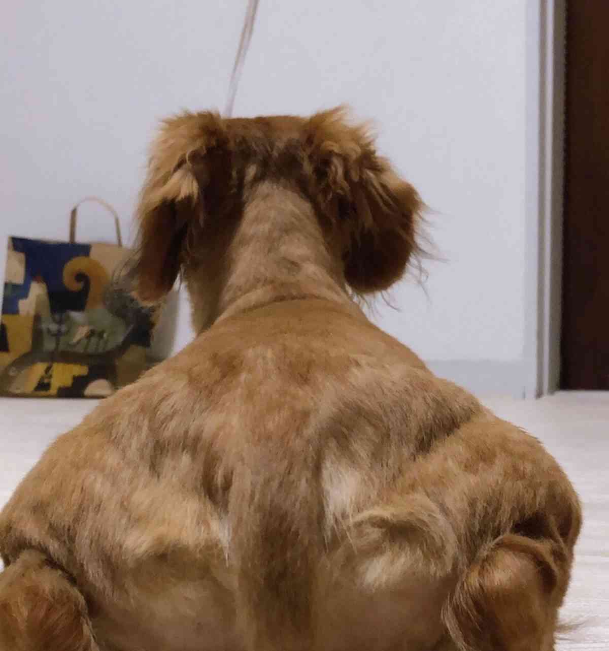 少しだけ不安になる画像ください!