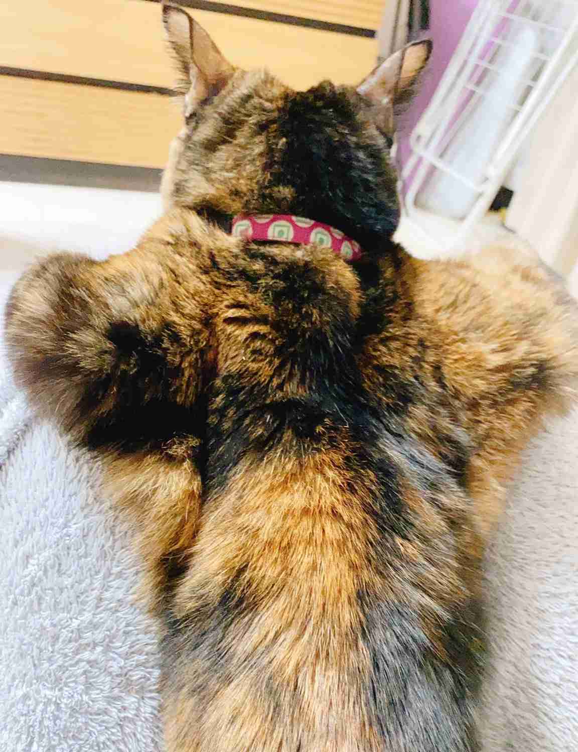 少しだけ不安になる画像ください!