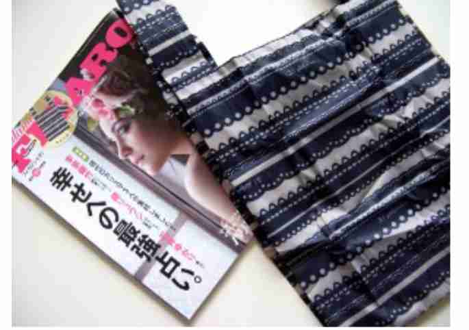 愛用している雑誌の付録