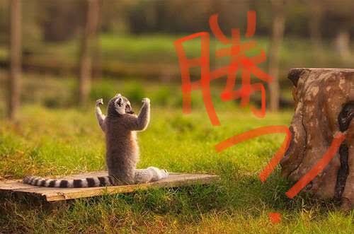 【一月】約１ヶ月続けて結果発表しにくるトピ