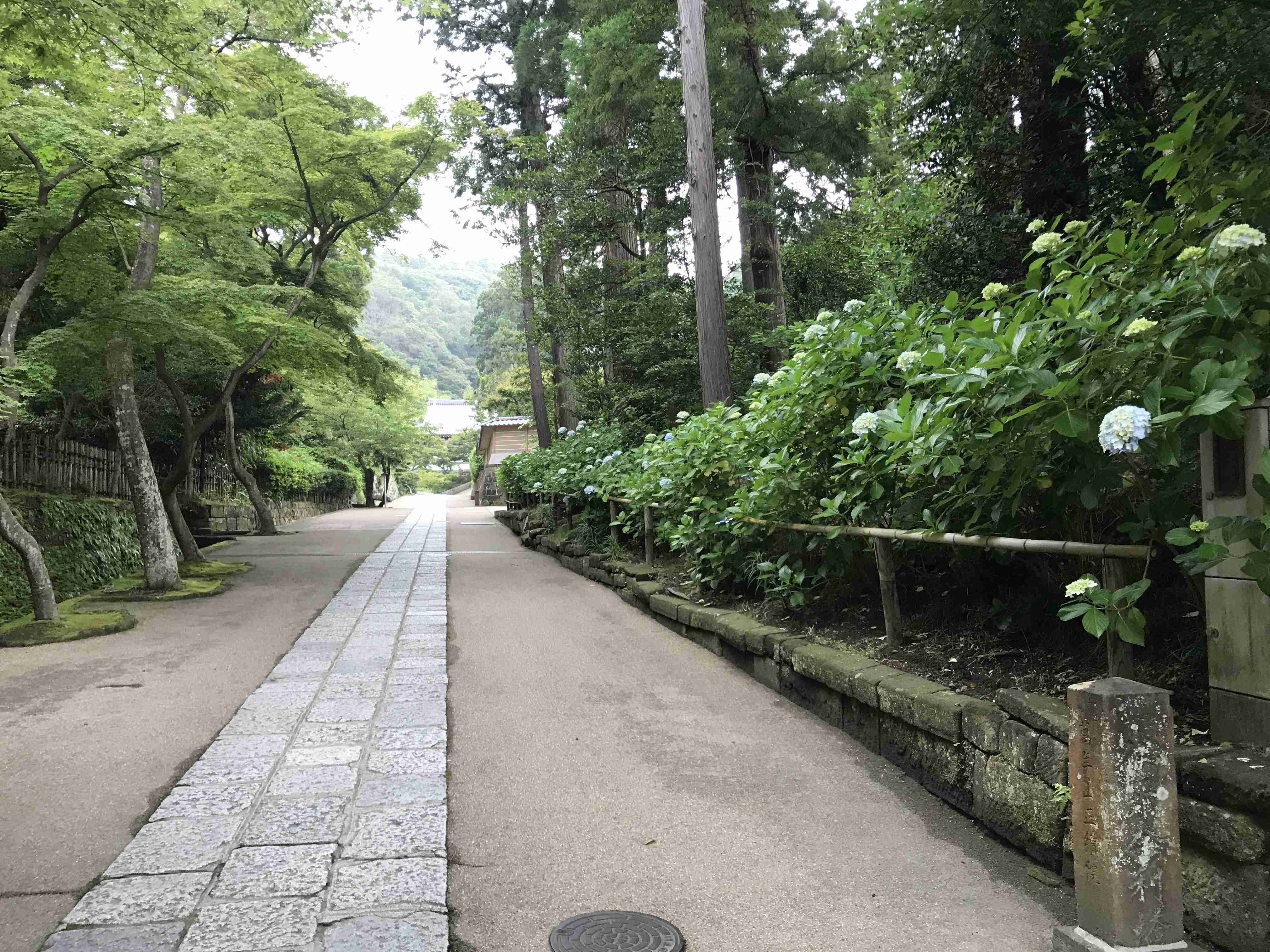 鎌倉を語ろう
