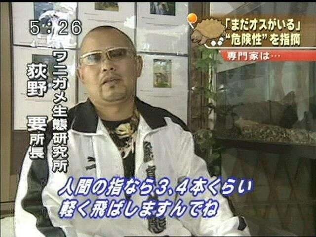 池でワニガメ捕獲 無許可で飼育後に捨てられたか 「見つけても近づかないで」 名古屋