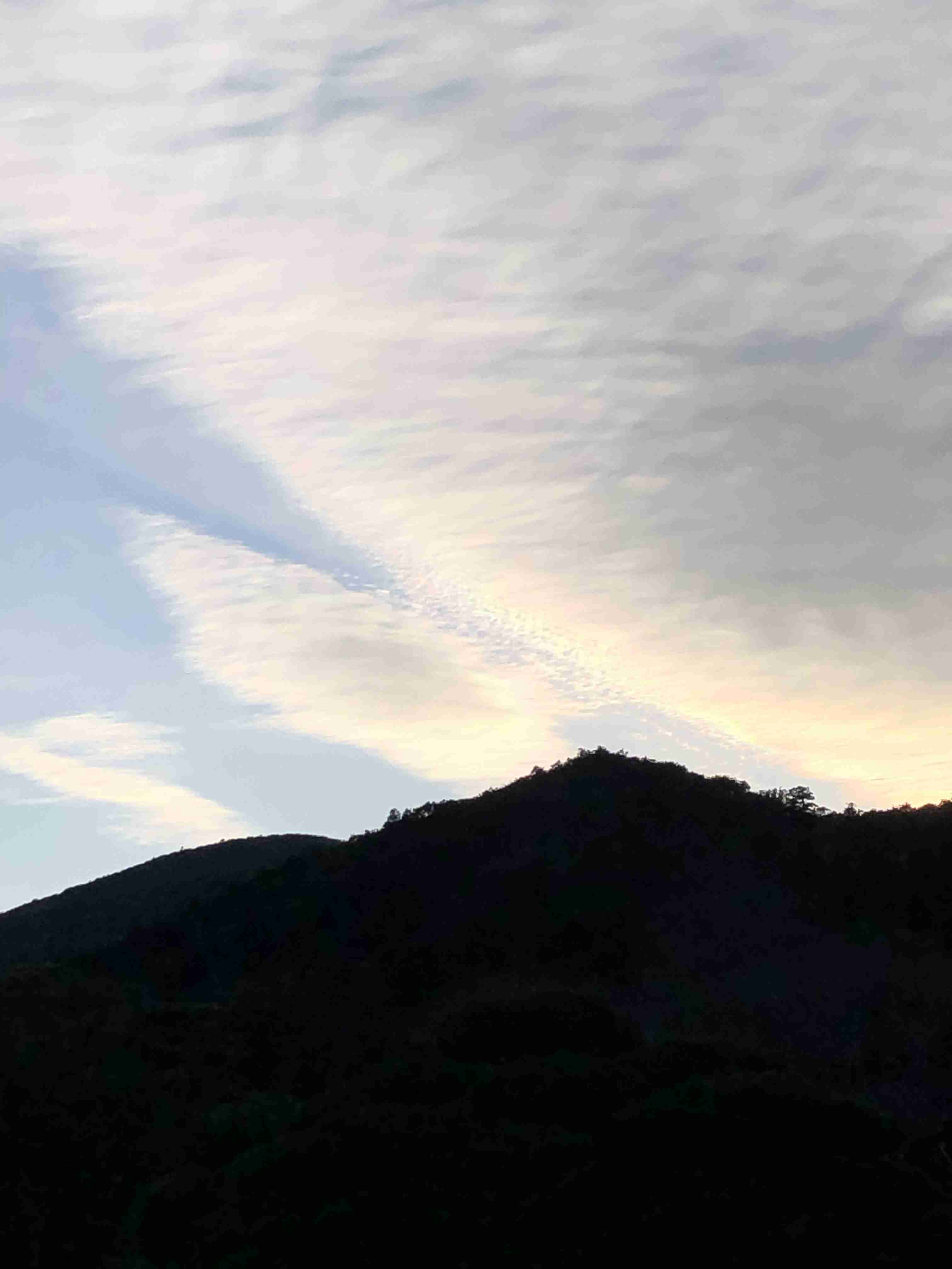 伝説の怪物を語りたい