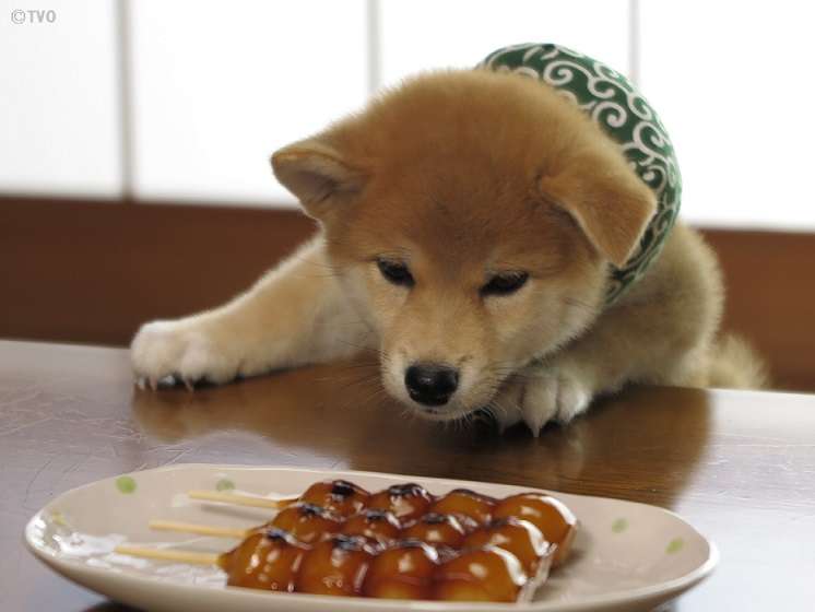 伝説の怪物を語りたい