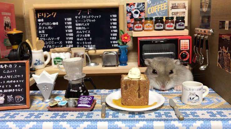 携帯に保存してあるケーキの画像見せて下さい!