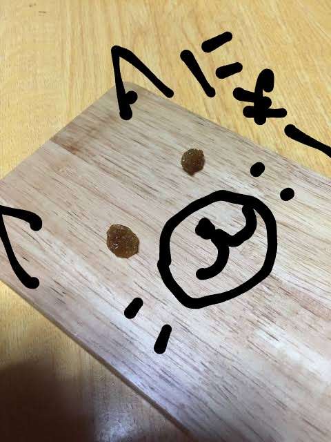 レーズンの使い所