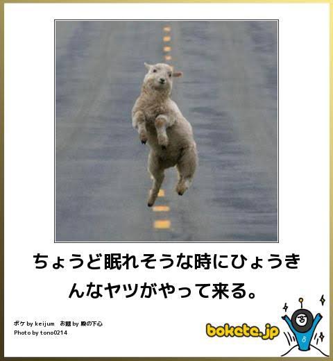 はしゃいでる動物たち