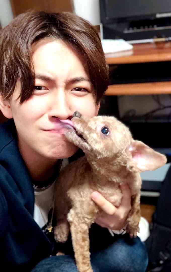 はしゃいでる動物たち