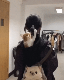 はしゃいでる動物たち