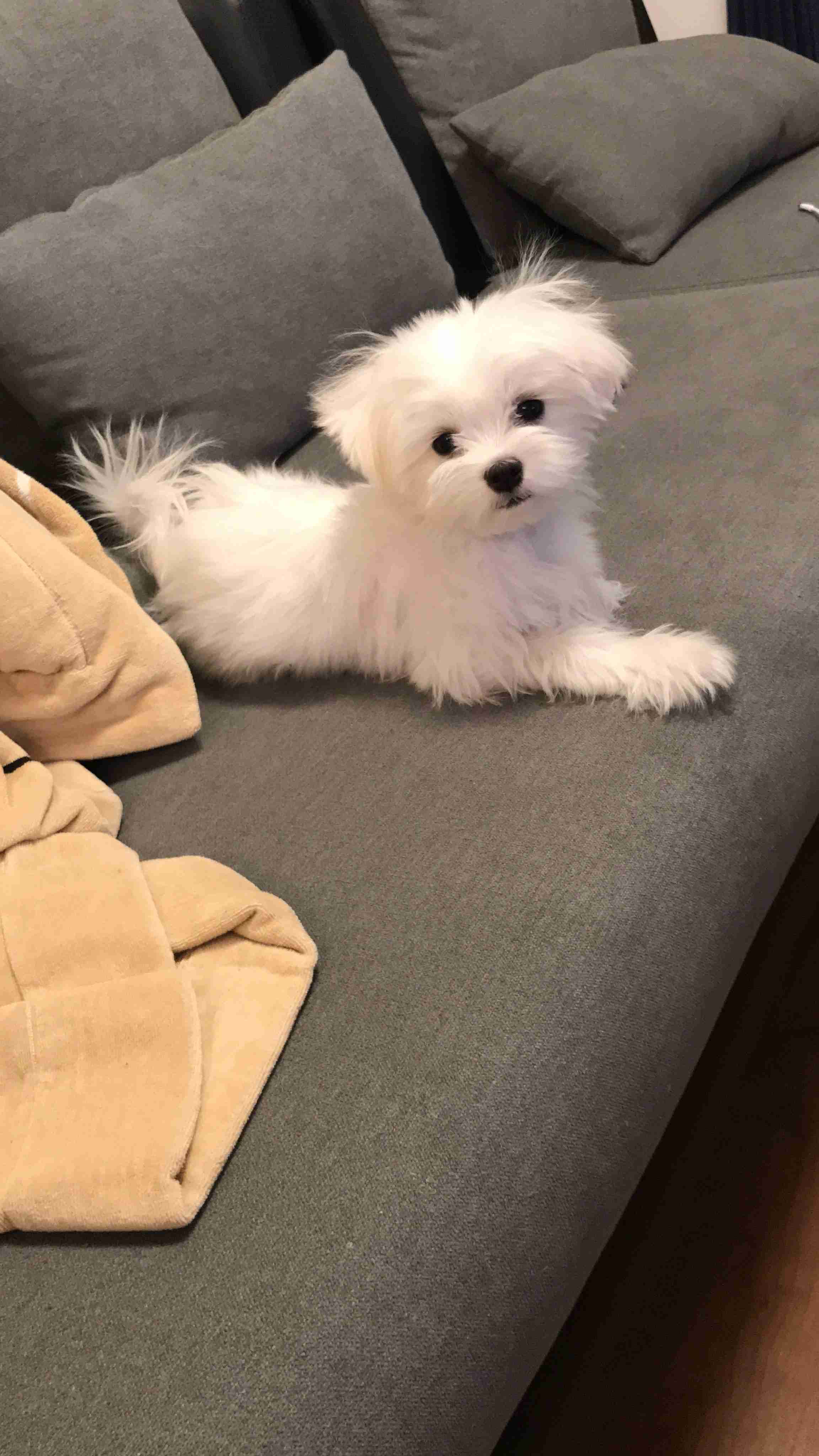 一日中誰かが来て雑談するトピ Part4