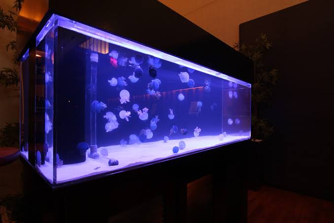 一日中誰かが来て雑談するトピ Part4