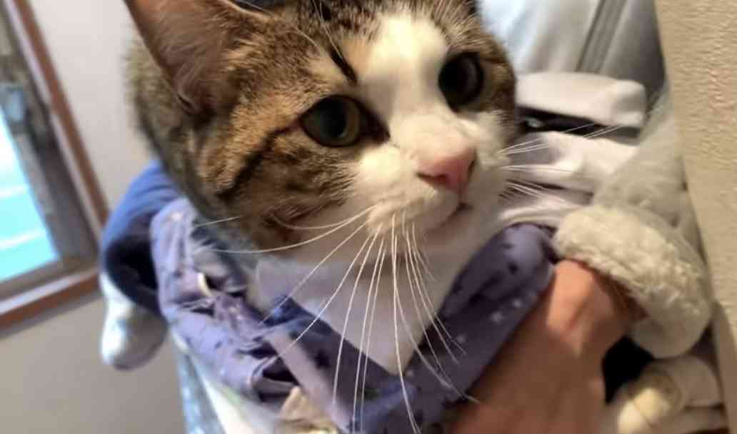 一日中誰かが来て雑談するトピ Part4