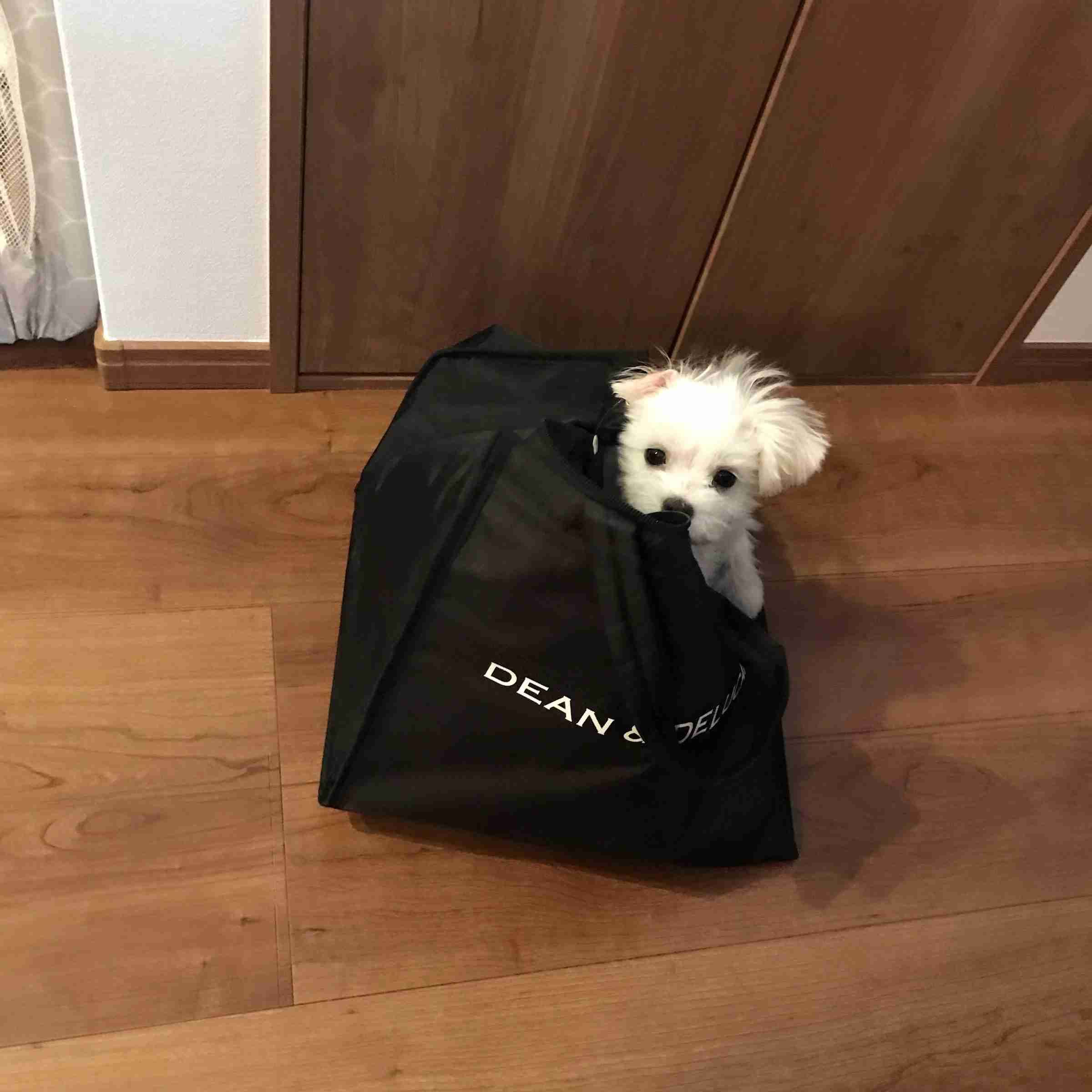 一日中誰かが来て雑談するトピ Part4