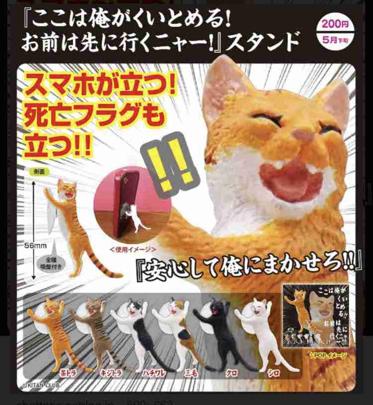 無駄かもしれないけど気に入ってるもの