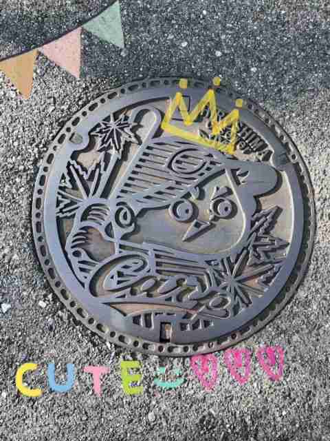 無理矢理インスタ映えさせてみるトピ