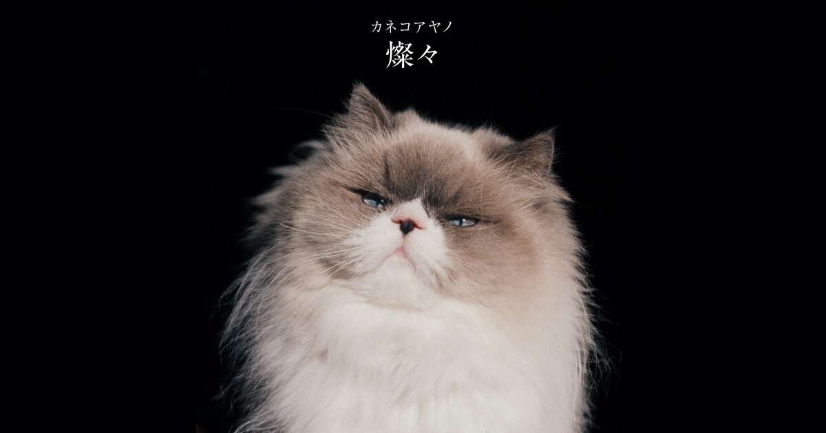 あなたにとっての名盤(アルバム)