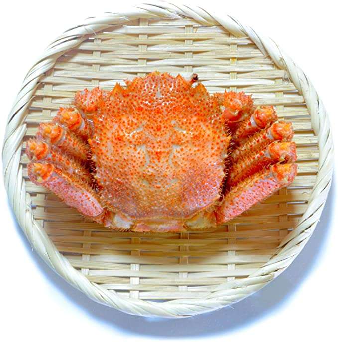 食べ方が未だによく分からない食べ物part2