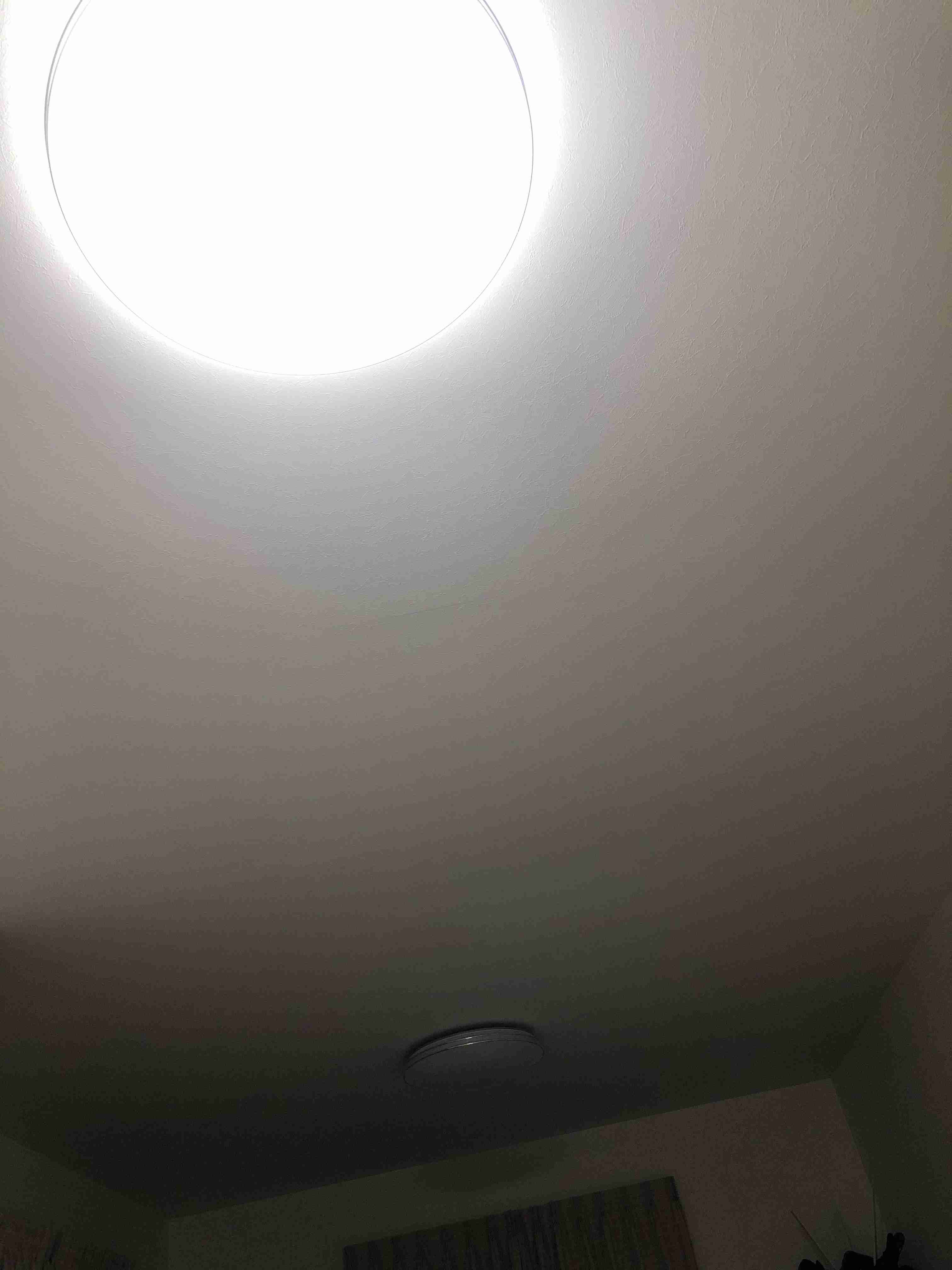 お部屋の天井を見せてください