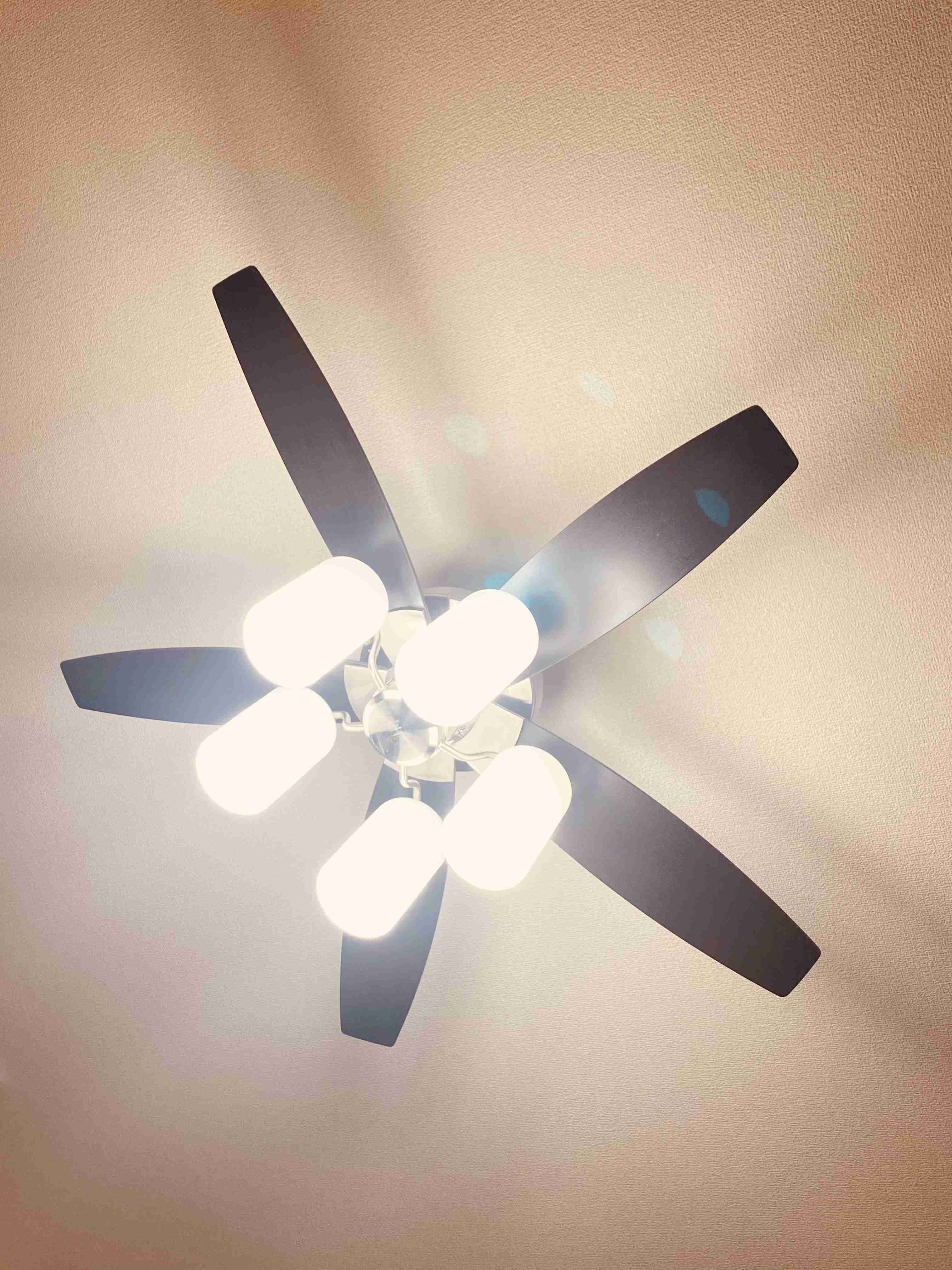 お部屋の天井を見せてください