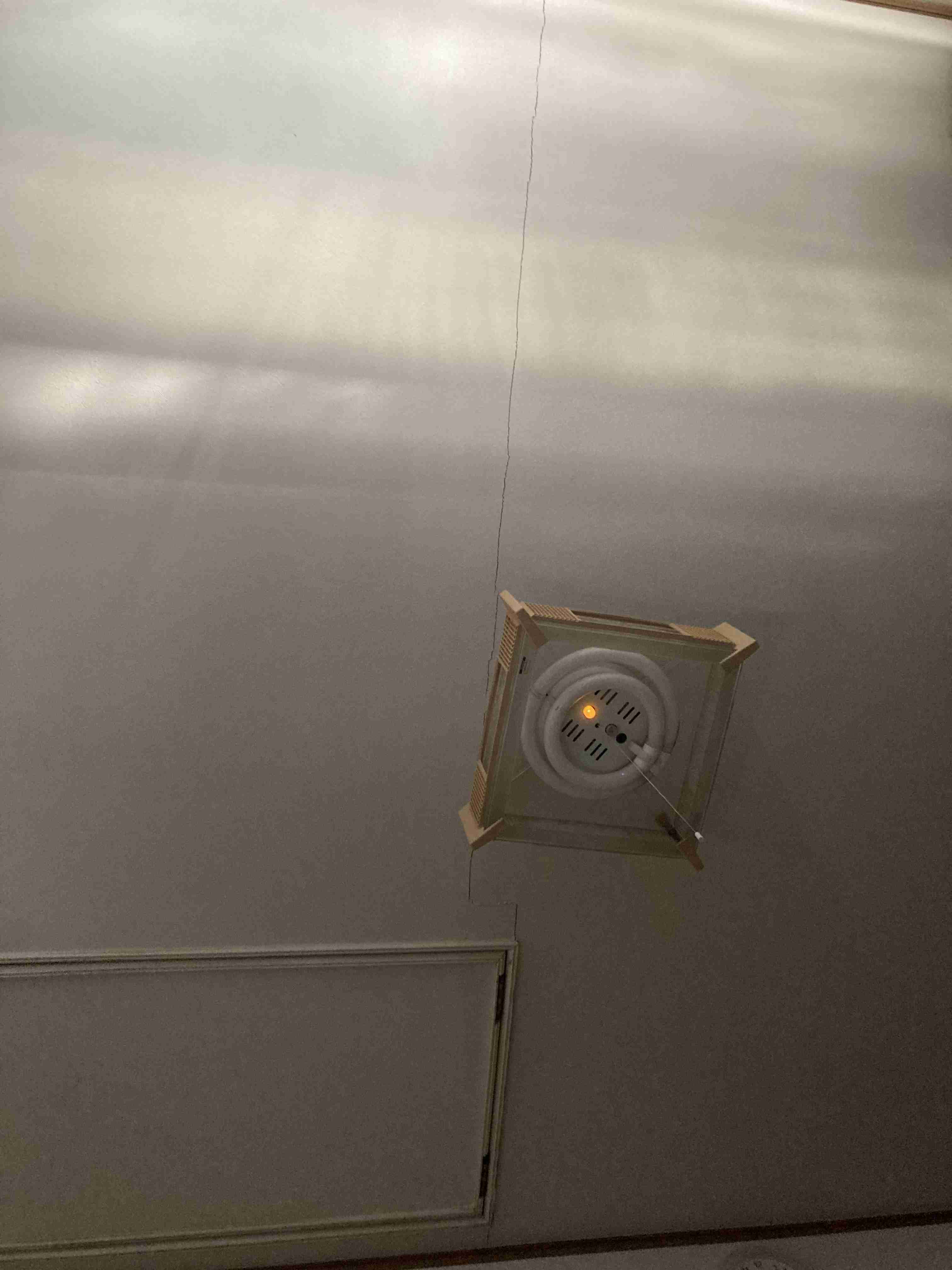 お部屋の天井を見せてください