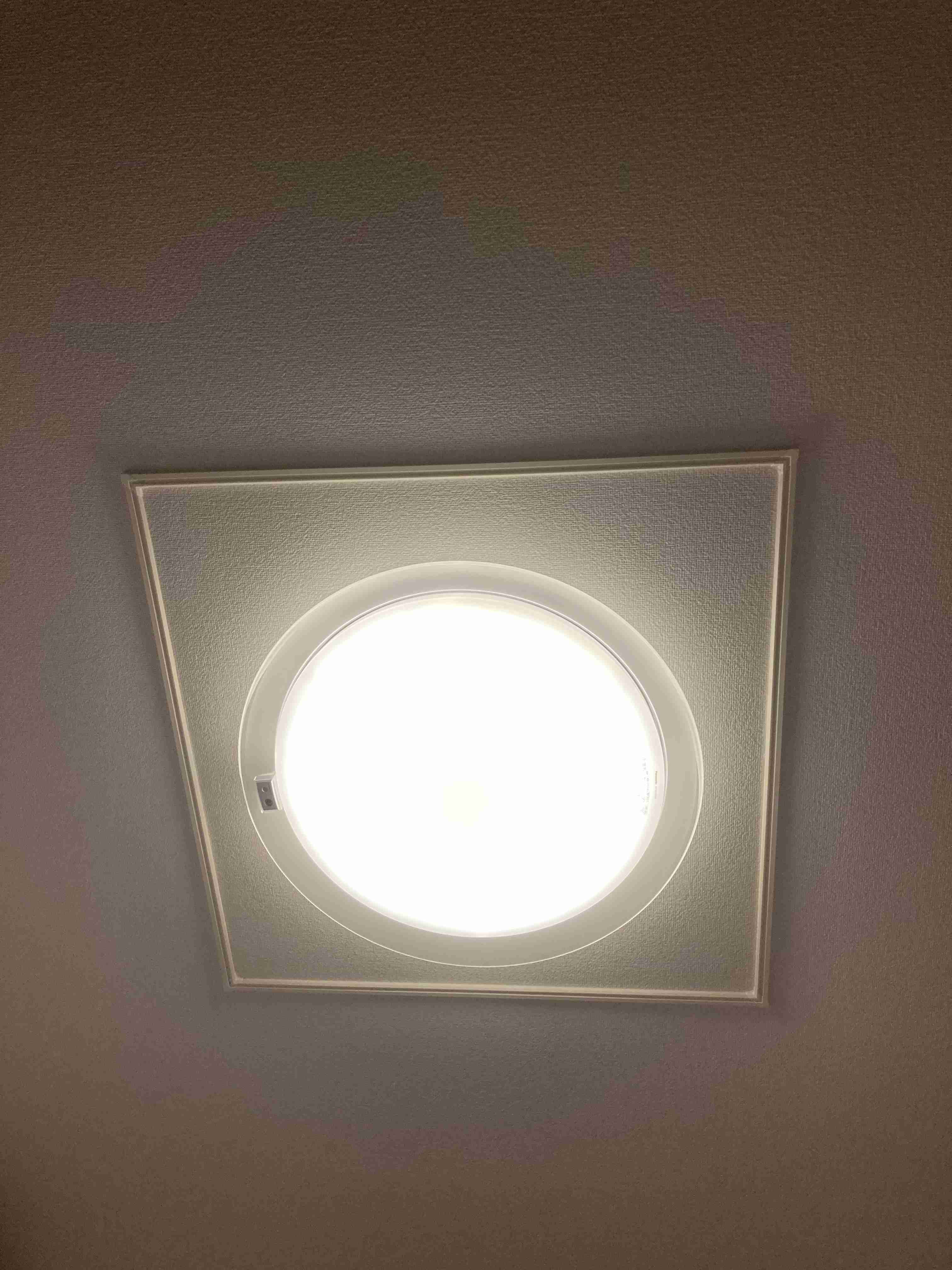 お部屋の天井を見せてください