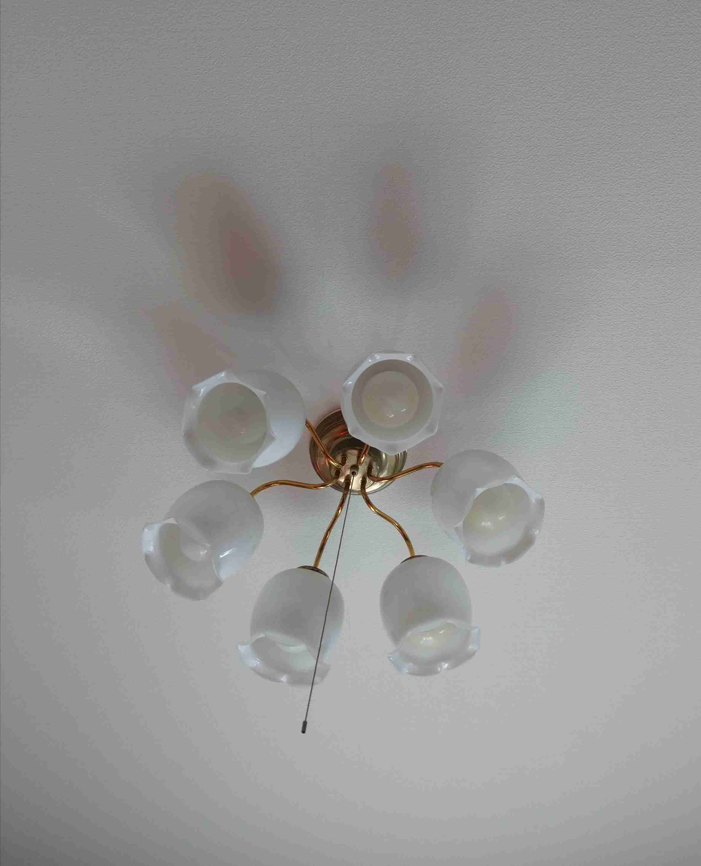 お部屋の天井を見せてください