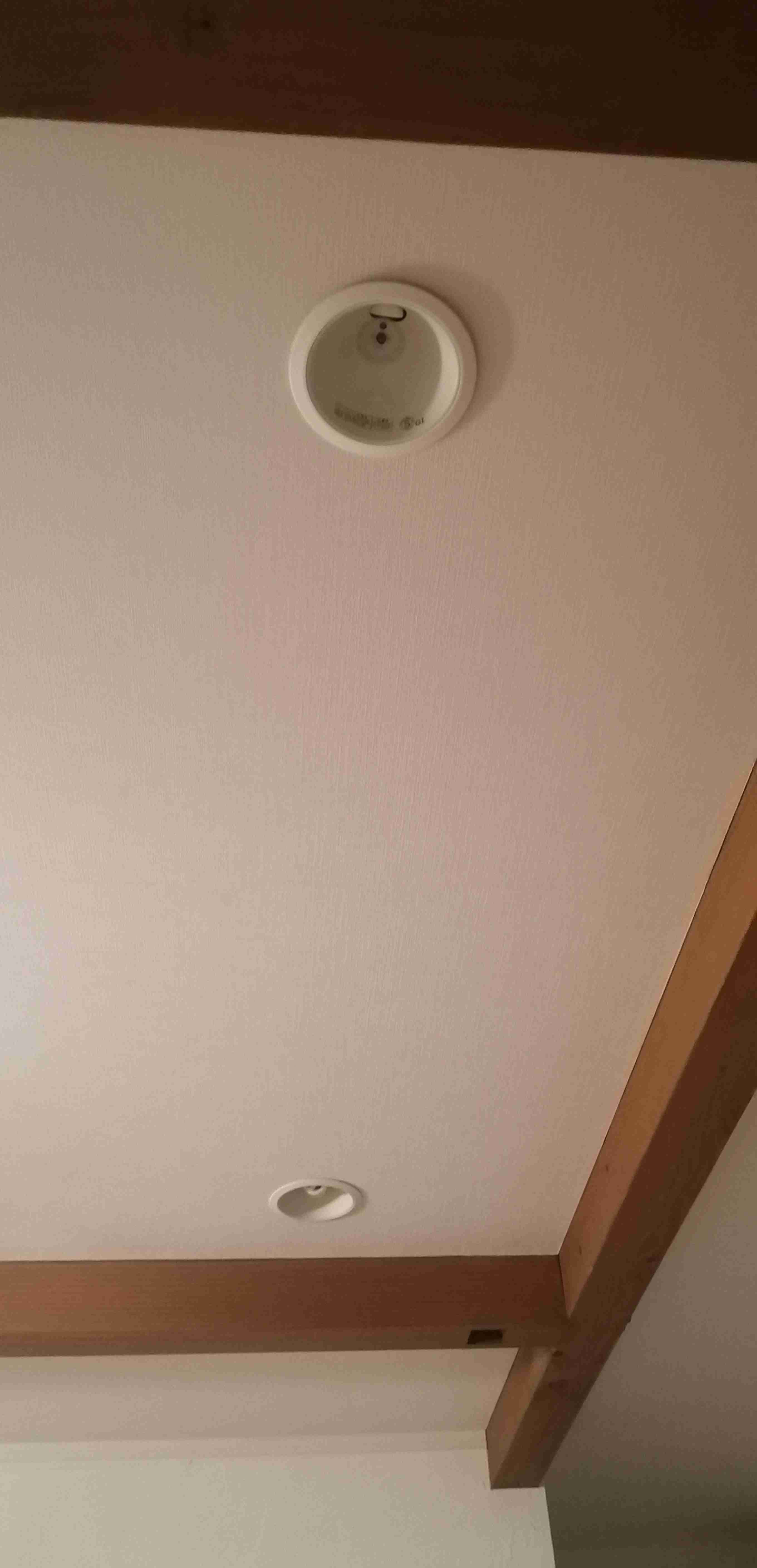 お部屋の天井を見せてください