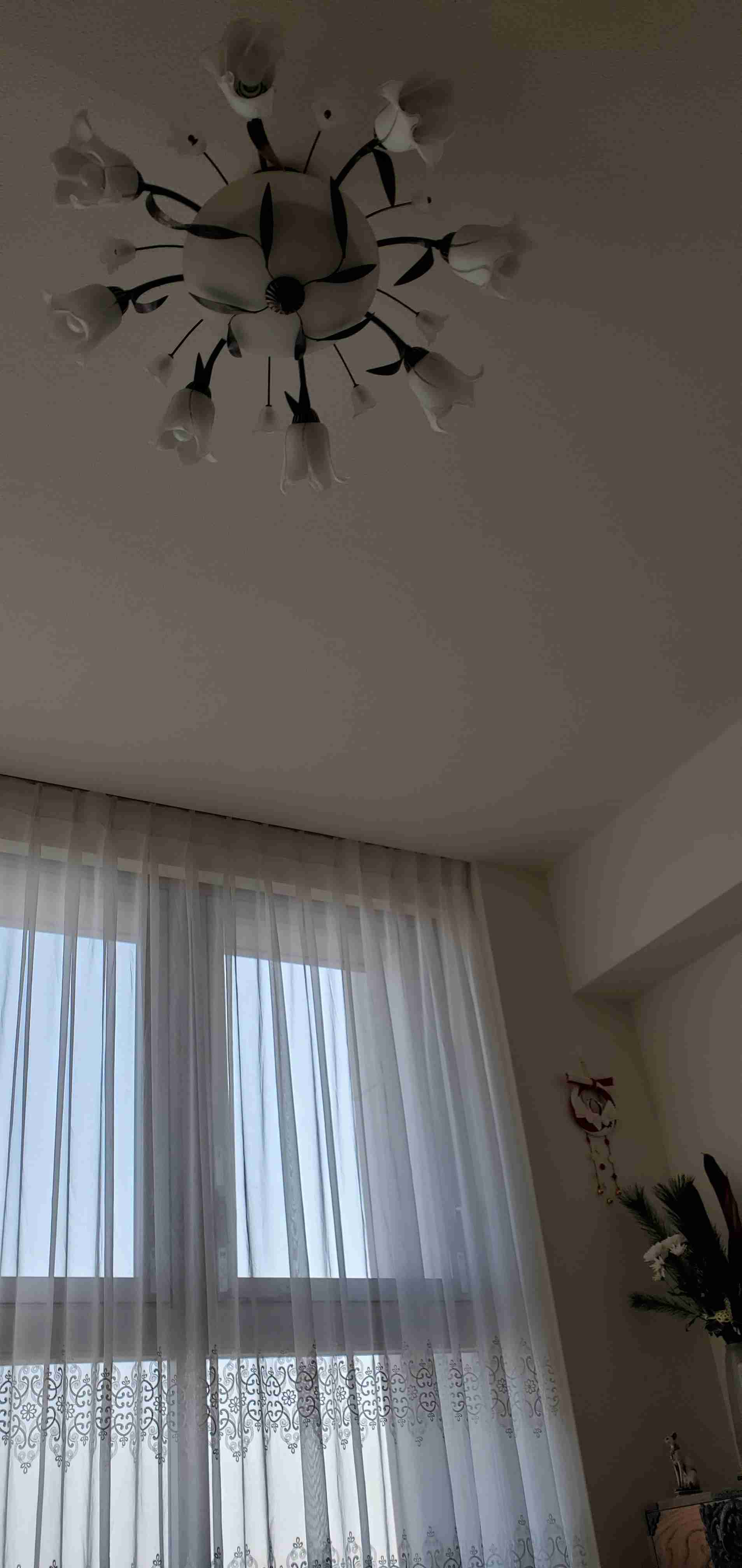 お部屋の天井を見せてください