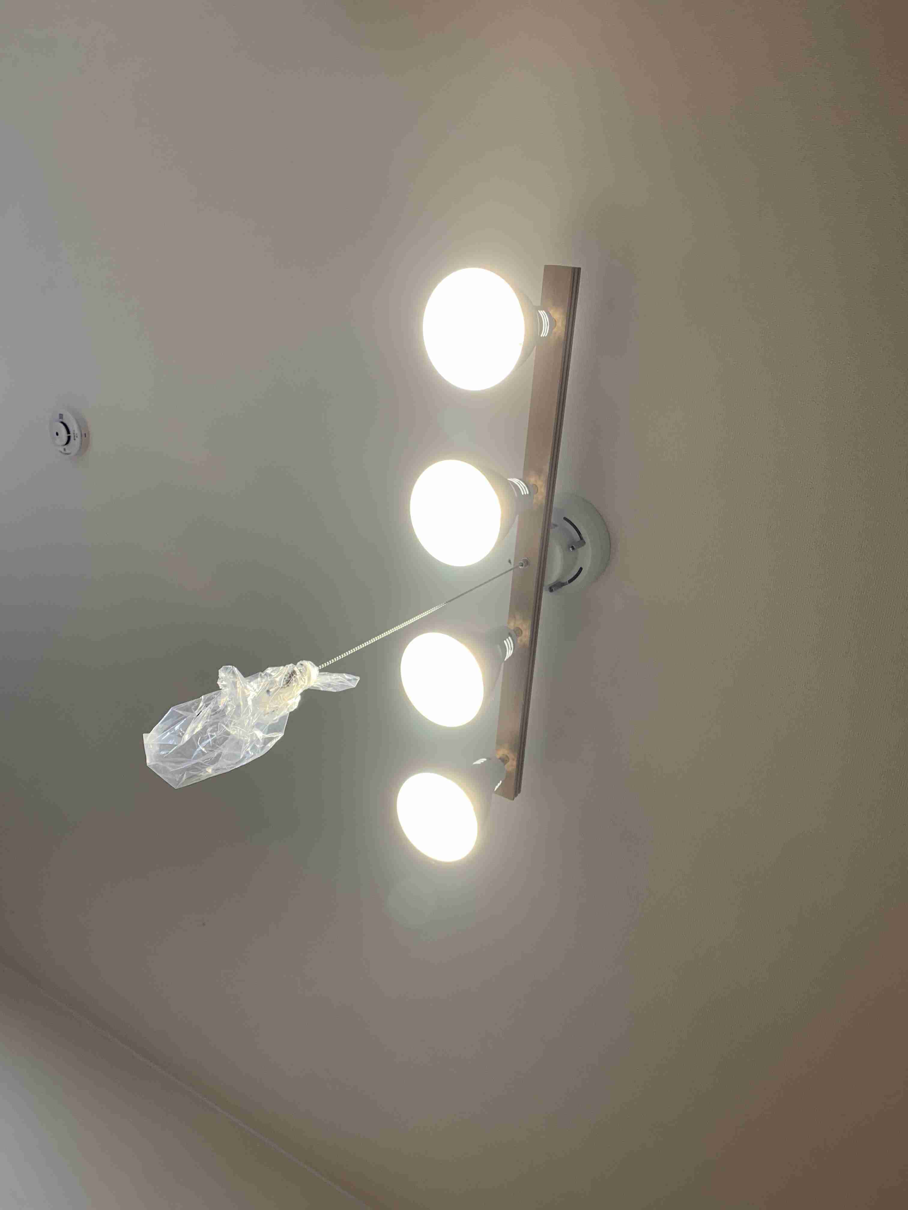 お部屋の天井を見せてください