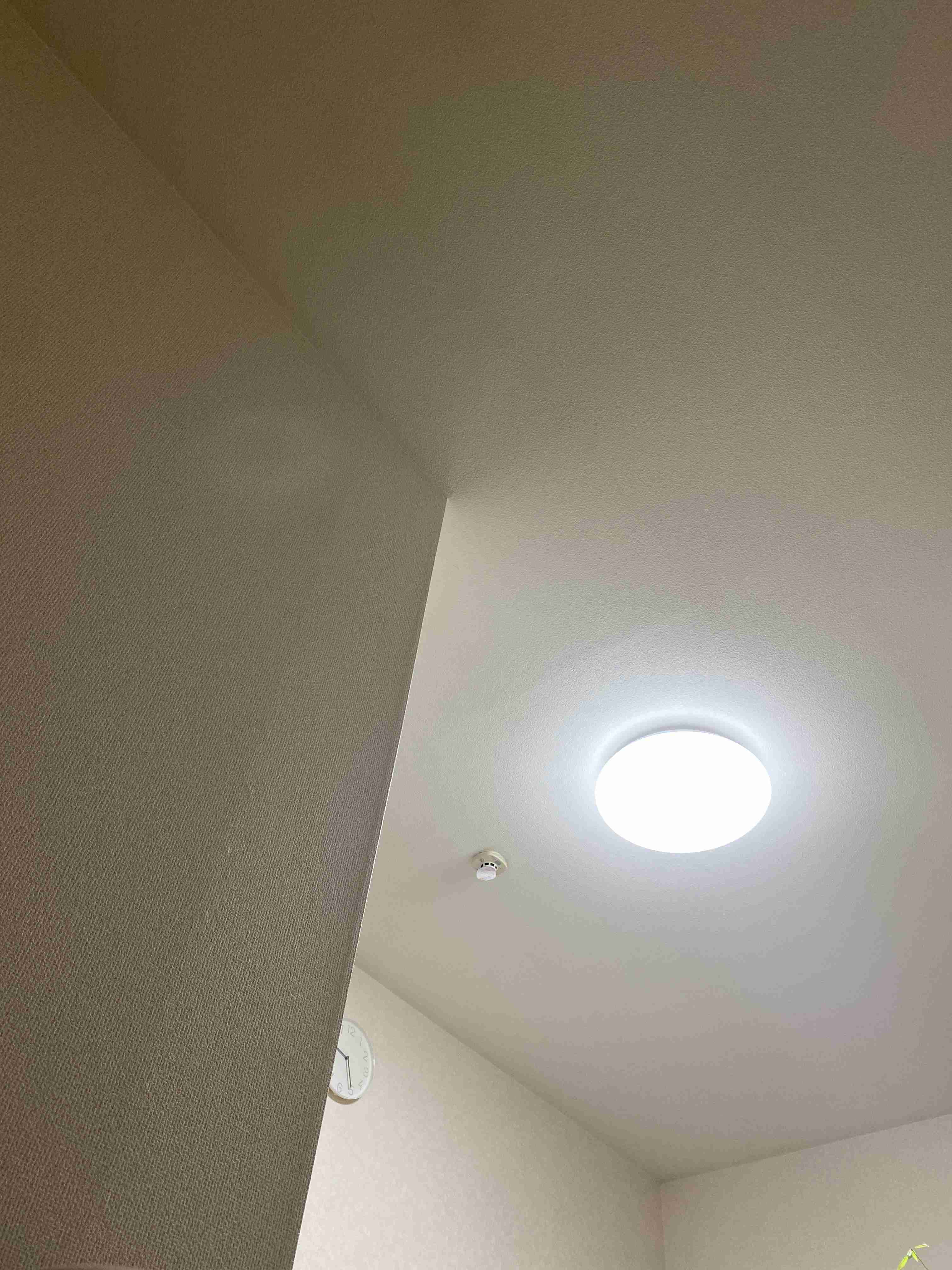 お部屋の天井を見せてください