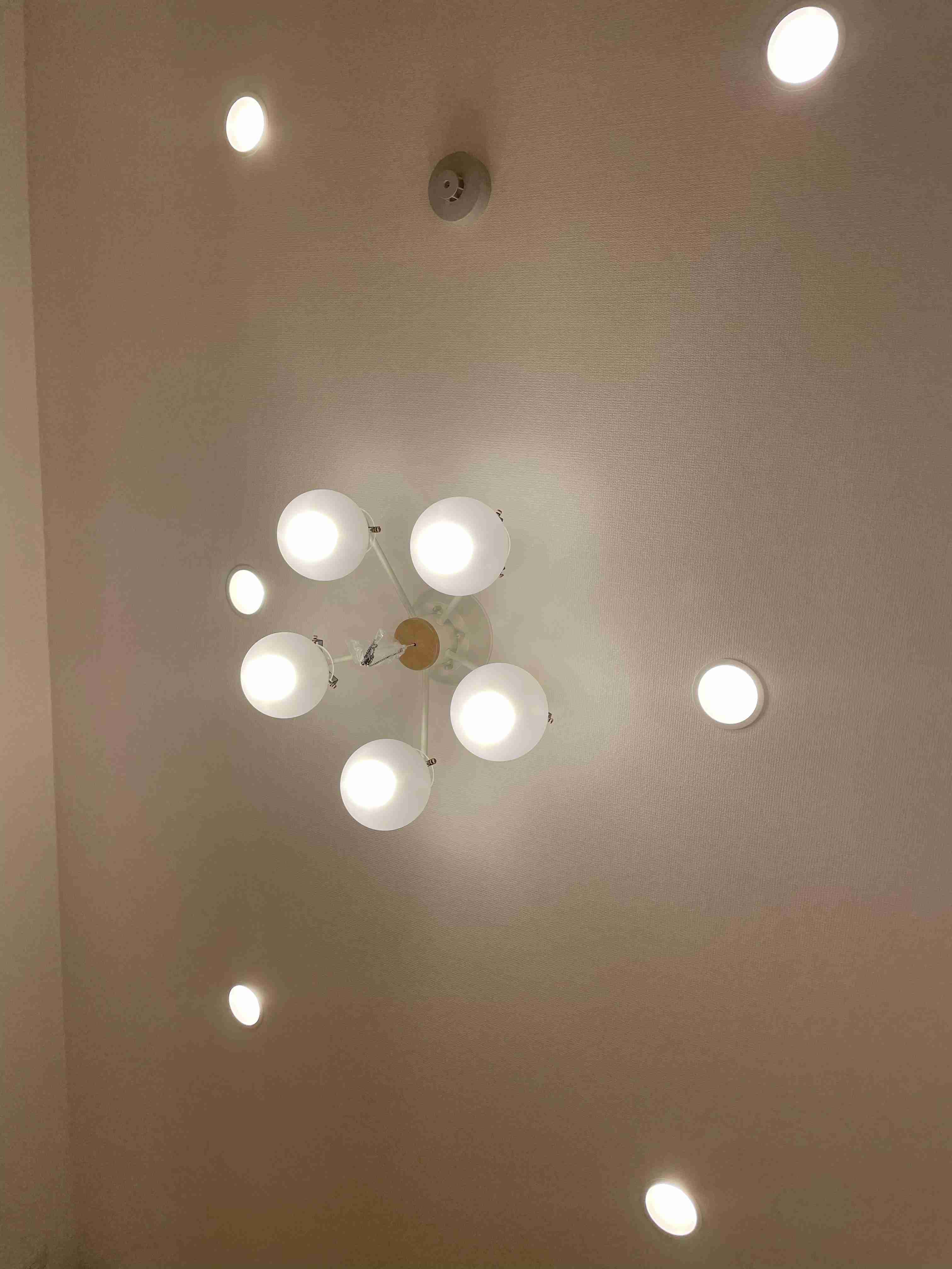 お部屋の天井を見せてください