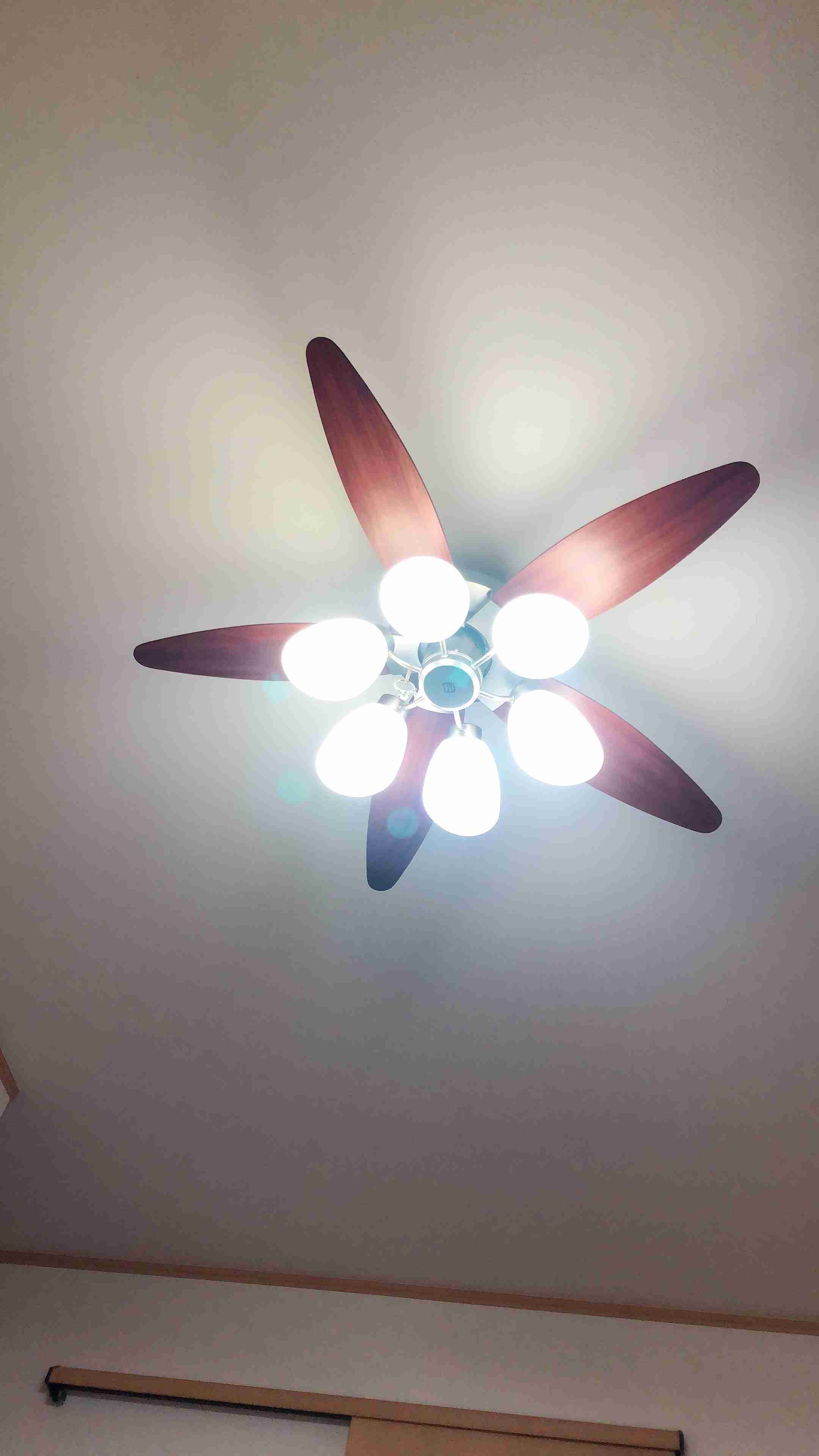 お部屋の天井を見せてください