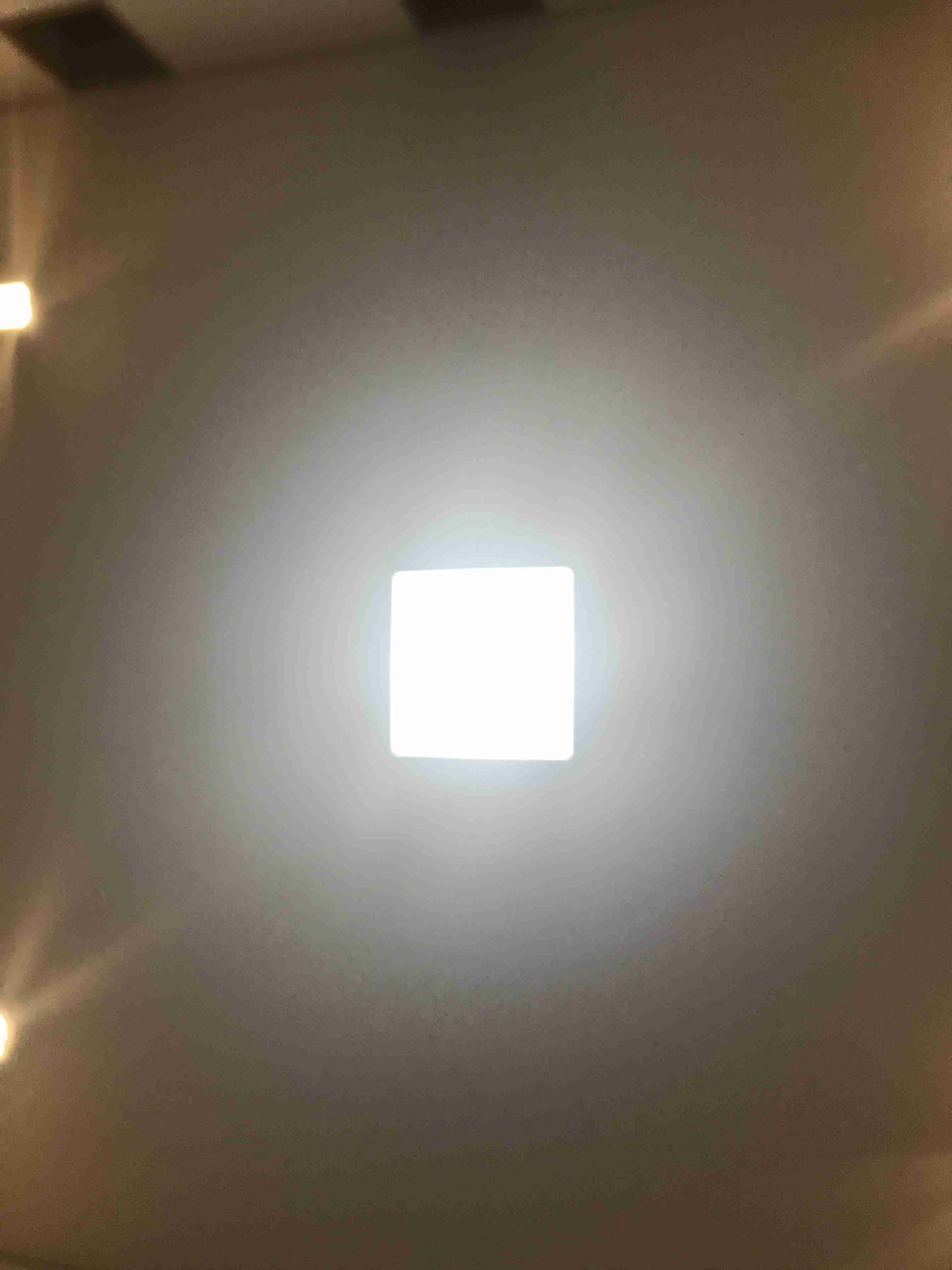 お部屋の天井を見せてください