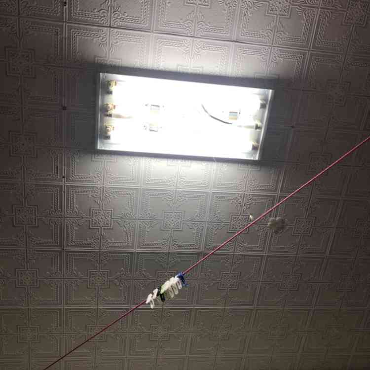 お部屋の天井を見せてください