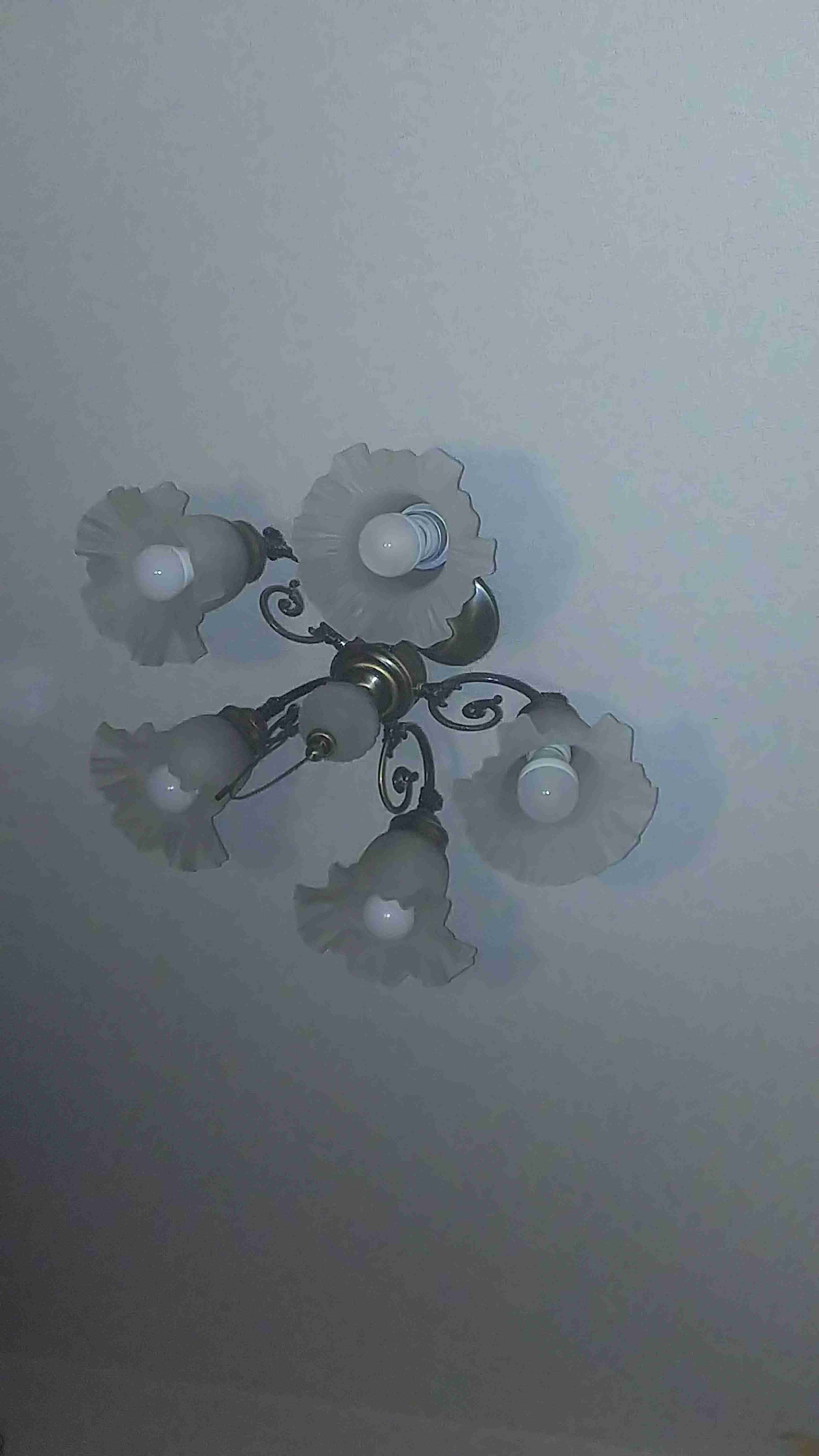 お部屋の天井を見せてください