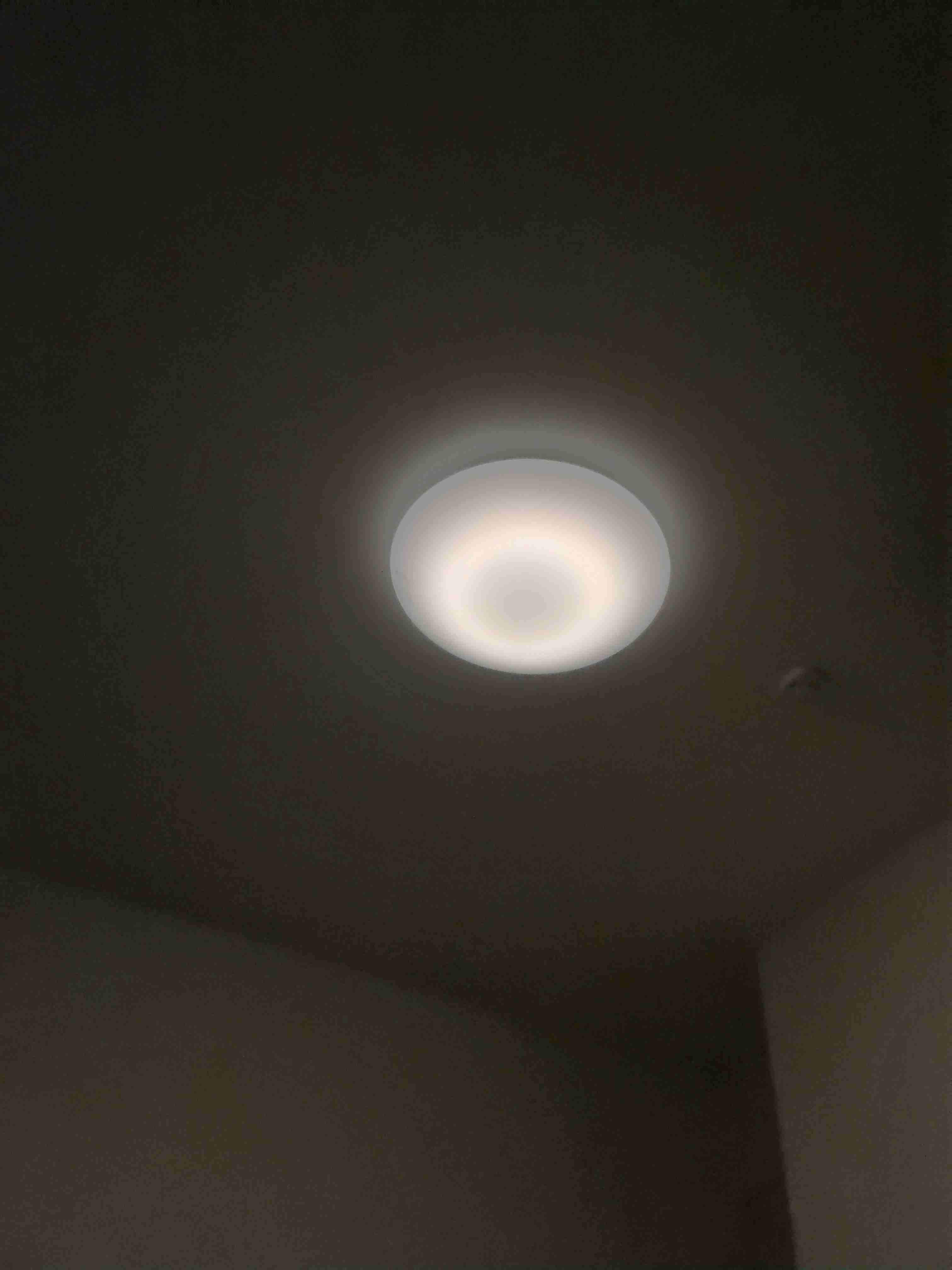 お部屋の天井を見せてください