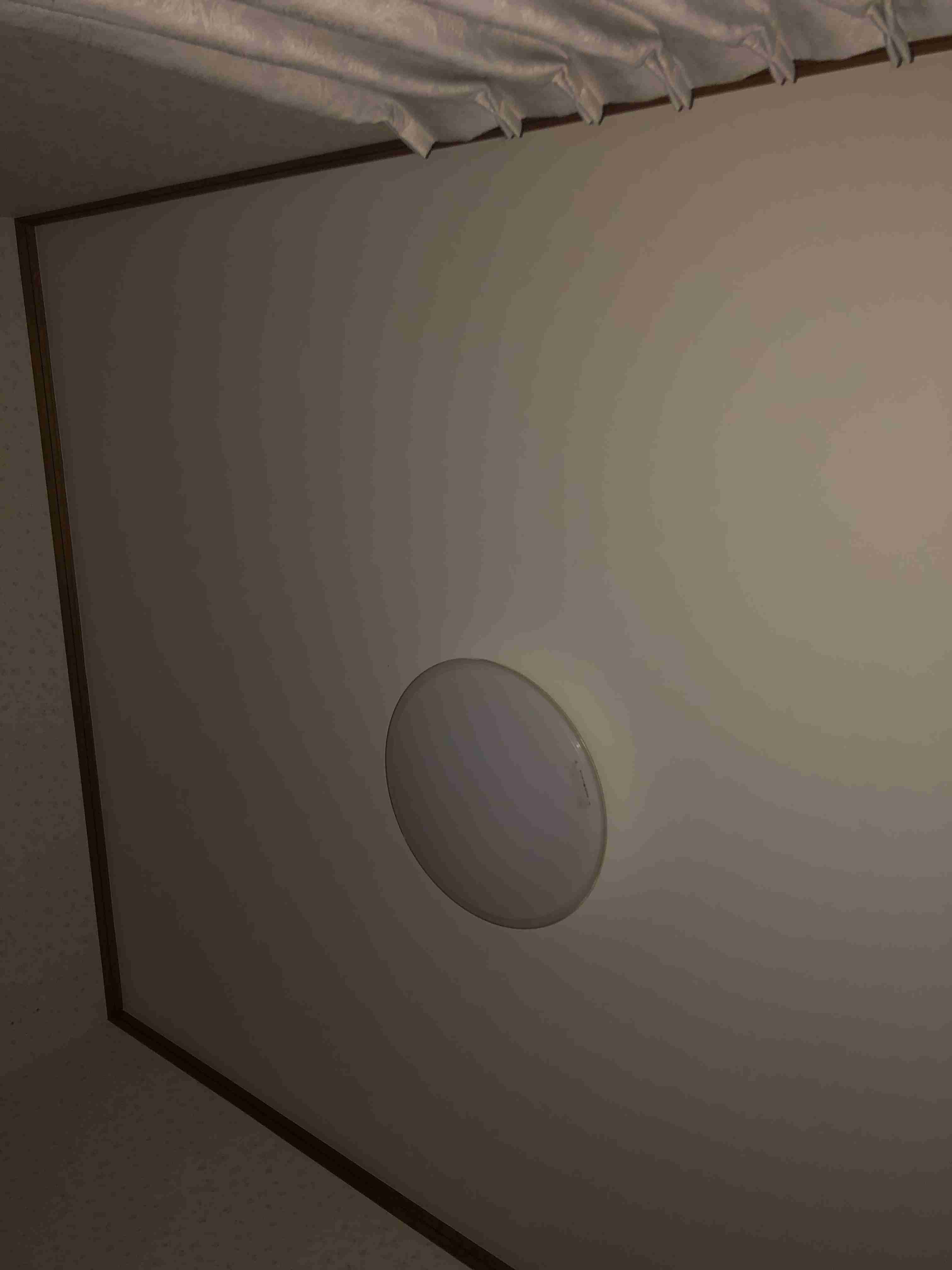 お部屋の天井を見せてください